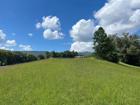 14 Buttercup Flds, Newport, TN 37821