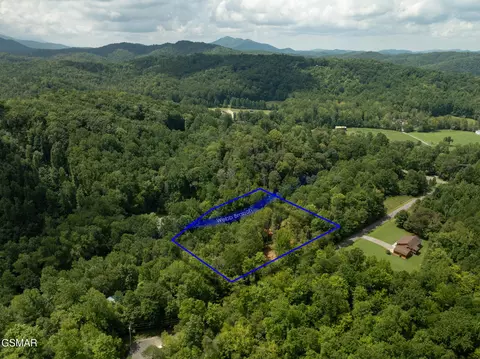 56 Ardell Way, Cosby, TN 37722