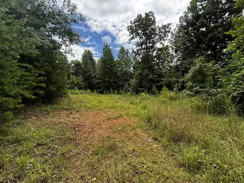 0 Orme Mountain Rd, South Pittsburg, TN 37380