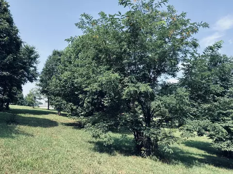 800 Sunset Cir, Jasper, TN 37347 photo 16