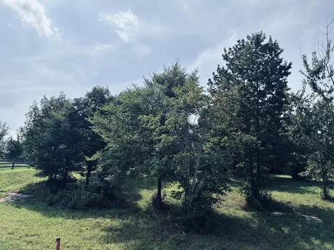 800 Sunset Cir, Jasper, TN 37347 photo 18