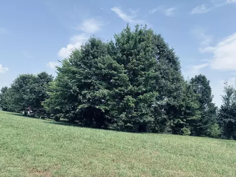 800 Sunset Cir, Jasper, TN 37347 photo 2