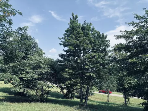 800 Sunset Cir, Jasper, TN 37347 photo 15