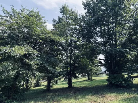 800 Sunset Cir, Jasper, TN 37347 photo 14