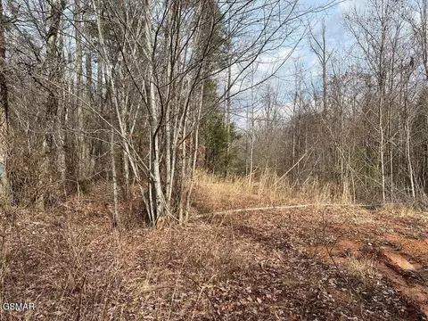 30 Blue Springs Way, Newport, TN 37821