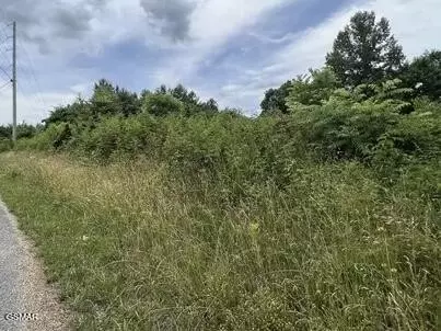 0 Saddleridge Dr, Speedwell, TN 37870