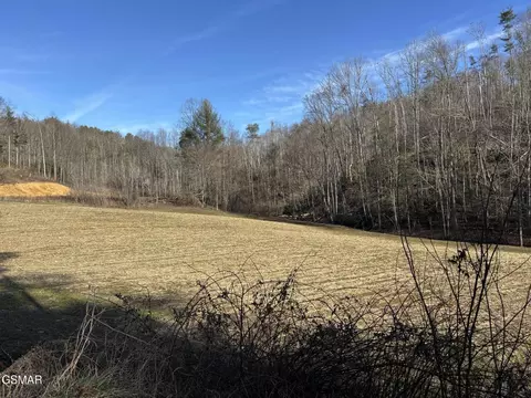 2 Bull Mountain Rd, Del Rio, TN 37727