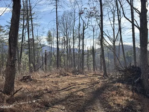 1 Bull Mountain Rd, Del Rio, TN 37727