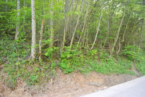 1132 Cole Ln, Gatlinburg, TN 37738