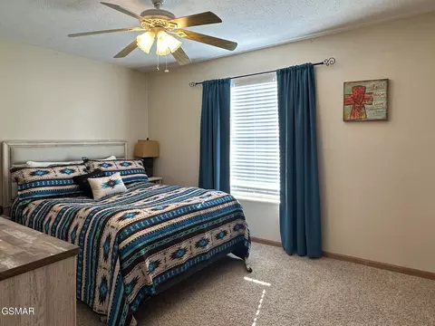 1223 Tina Cir, Talbott, TN 37877 photo 14