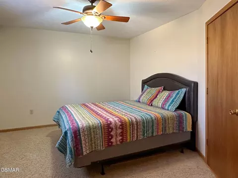 1223 Tina Cir, Talbott, TN 37877 photo 13