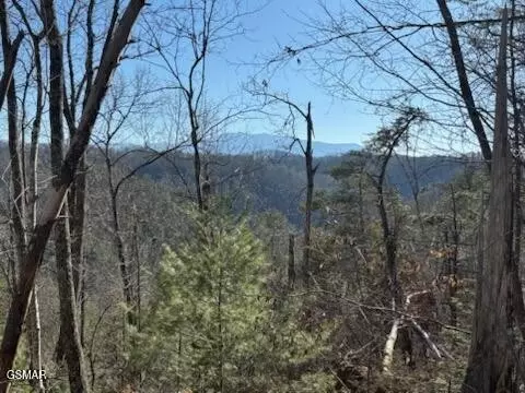 0 Emerald Way, Sevierville, TN 37876