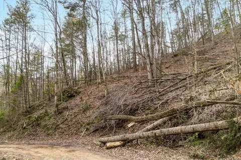 20 Meadow View Rd, Sevierville, TN 37862