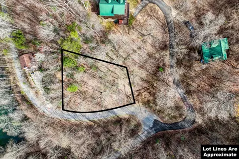 345 Lamons Loop, Sevierville, TN 37876 photo 3