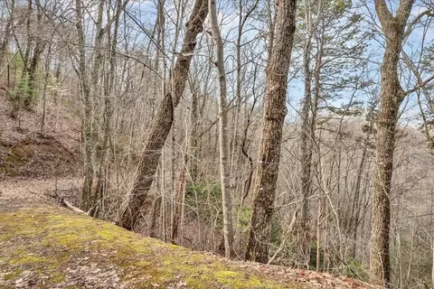 9 Shagbark Hickory Rdg, Sevierville, TN 37862