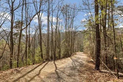17 Meadow View Rd, Sevierville, TN 37862