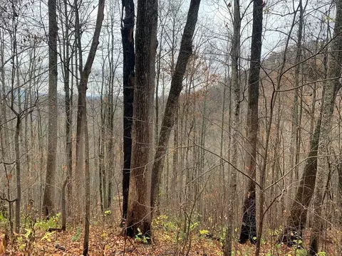 13 Emerald Springs Loop, Sevierville, TN 37862