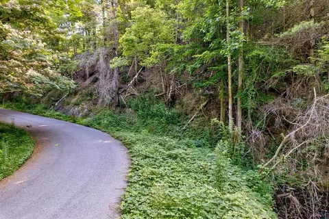7 Willow Ln, Sevierville, TN 37862