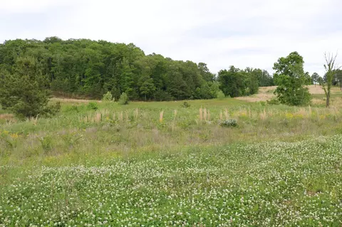 216 Lake Ferry Dr, Loudon, TN 37774