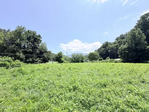 187 Hwy 32, Cosby, TN 37722