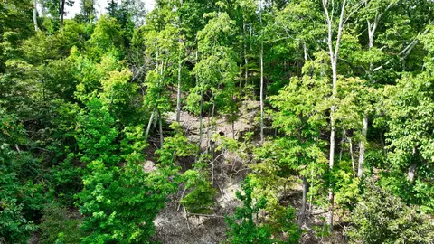 57 Ridge Top Rd, Stewart, TN 37175