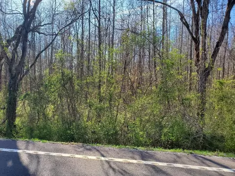 6 Highway 304, Decatur, TN 37322