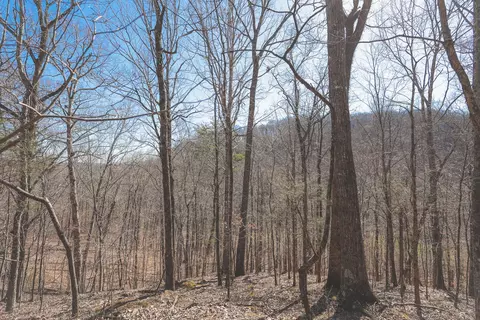 0 Fisher Hollow Rd, Georgetown, TN 37336