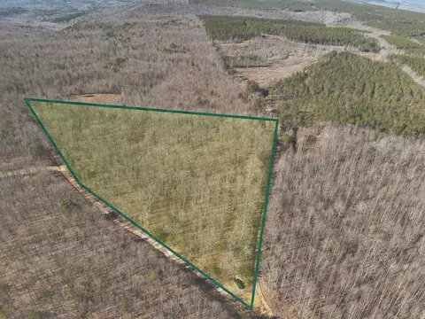 0 Palmer Fire Tower Rd, Palmer, TN 37365