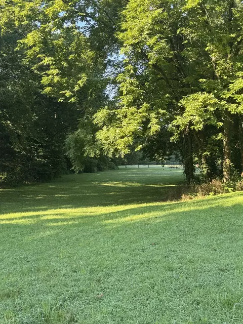 3992 Hwy 31e, Bethpage, TN 37022 photo 5
