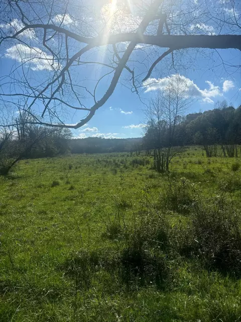 899 Copeland Rd, Ocoee, TN 37361 photo 15
