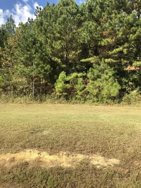 117 Casson Rd, Ocoee, TN 37361 photo 2