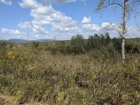 0 Shut In Gap Rd, Spring City, TN 37381
