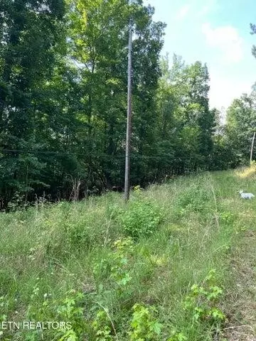 0 Willow Dr, Spring City, TN 37381