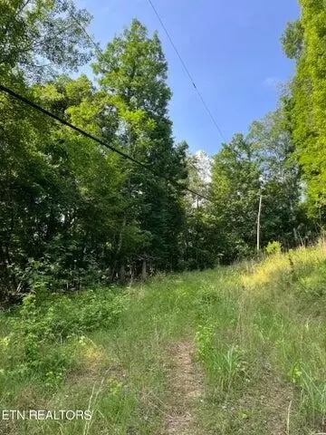 0 Hawthorne Dr, Spring City, TN 37381