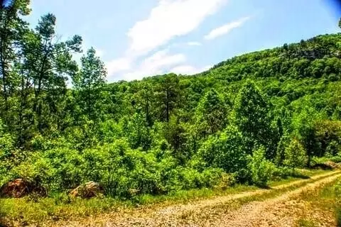 22 Blue Sewabee Rd, Dunlap, TN 37327