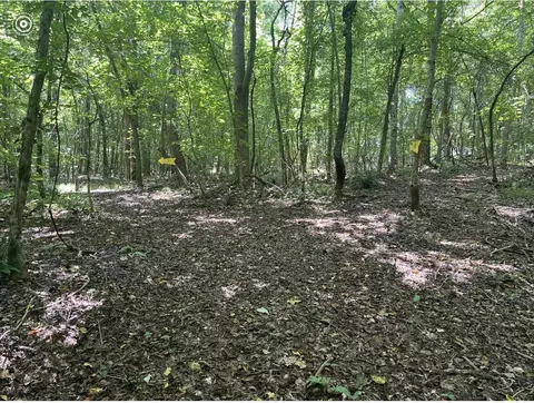 0 County Road 969, Etowah, TN 37331