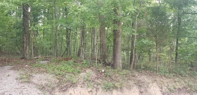 0 Chestnut Dr, Spring City, TN 37381