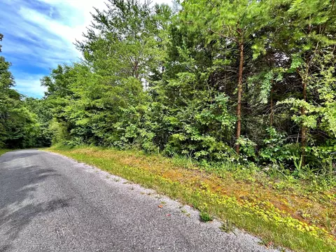 0 Ivy Moore Cir, Decatur, TN 37322
