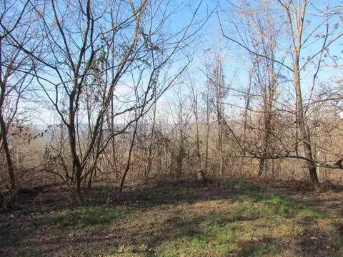 860 Ditch Gap Rd, Whitwell, TN 37397