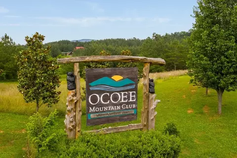 207 Ocoee Mountain Clb, Ocoee, TN 37361 photo 3