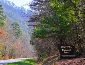 207 Ocoee Mountain Clb, Ocoee, TN 37361 photo 6