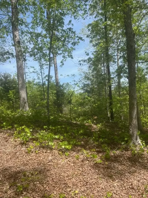 47 County Rd, Riceville, TN 37370