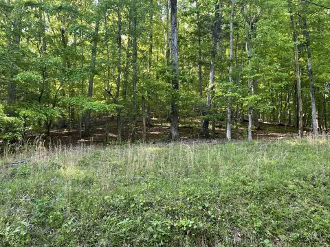 695 Rockview Dr, Spring City, TN 37381