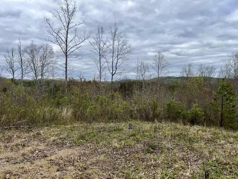 4 County Road 188, Decatur, TN 37322