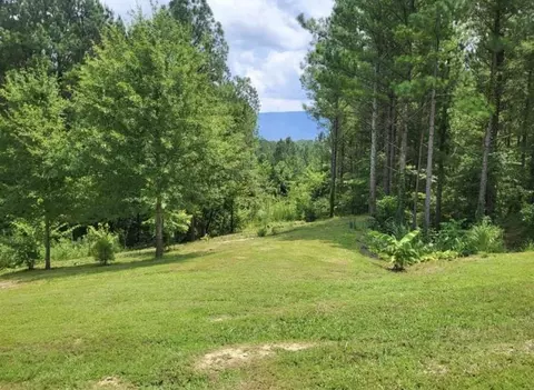 147 Hiwassee Trails Dr, Delano, TN 37325