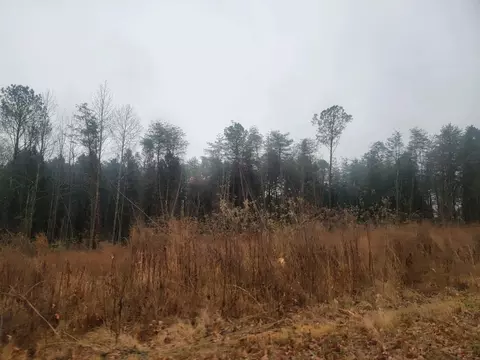 6970 Kings Hill Rd, Spring City, TN 37381