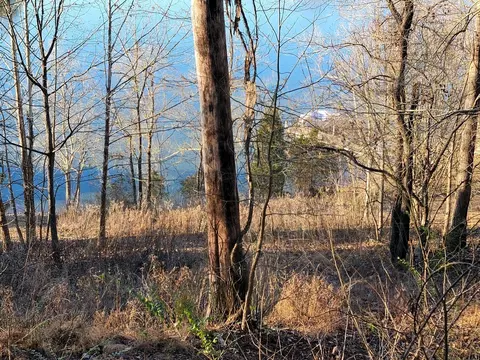 455 Clearwater Dr, Spring City, TN 37381