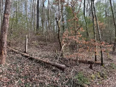 0 Tinker Branch Rd, Reliance, TN 37369