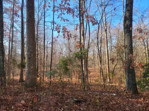 1573 Clifton Cemetery Rd Off, Spring City, TN 37381
