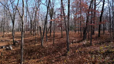 7911 Hixson Springs Rd, Signal Mountain, TN 37377
